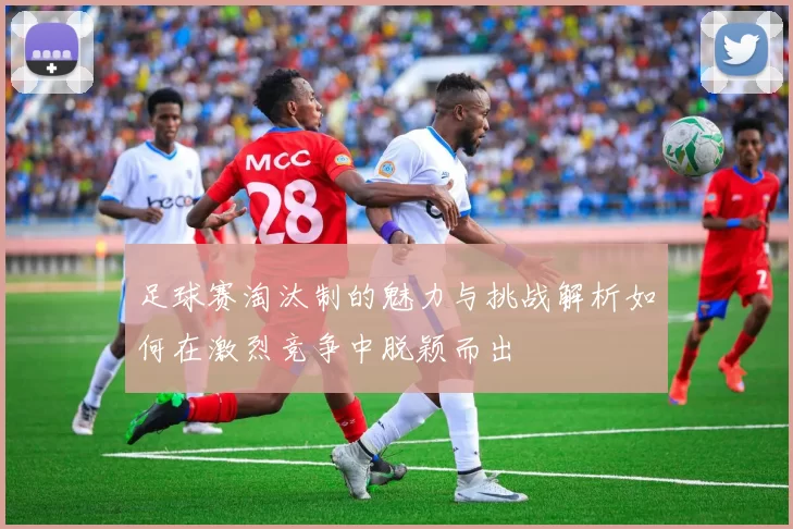 足球赛淘汰制的魅力与挑战解析如何在激烈竞争中脱颖而出