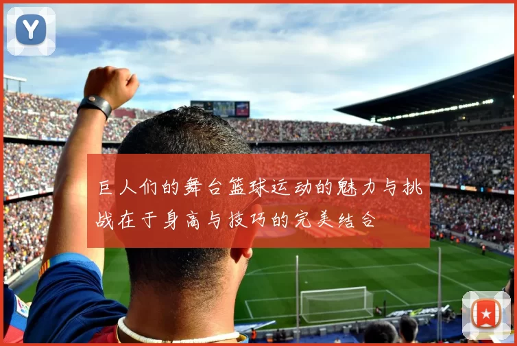 巨人们的舞台篮球运动的魅力与挑战在于身高与技巧的完美结合