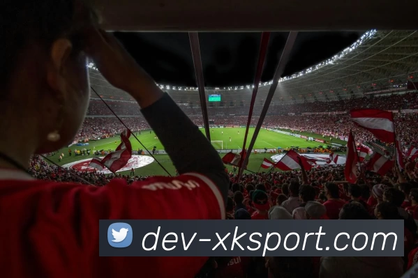 星空体育发展历程